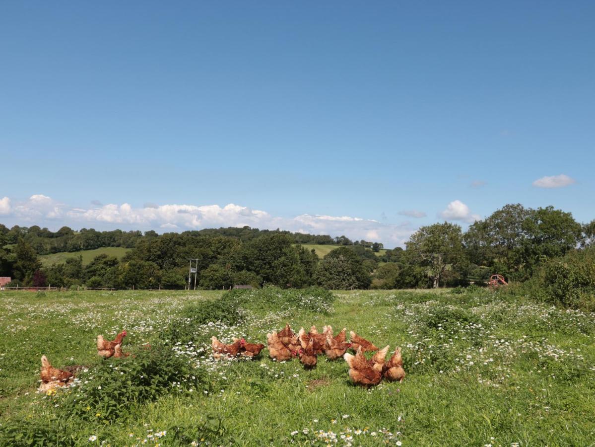 The Cider Shed Apartment Winscombe Екстериор снимка